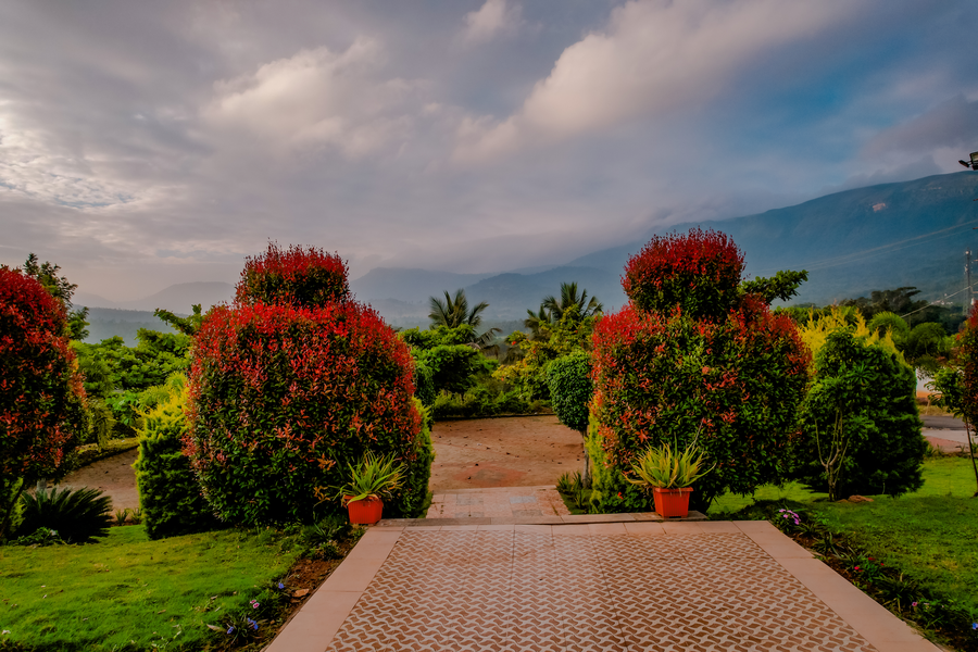 golden hill resort