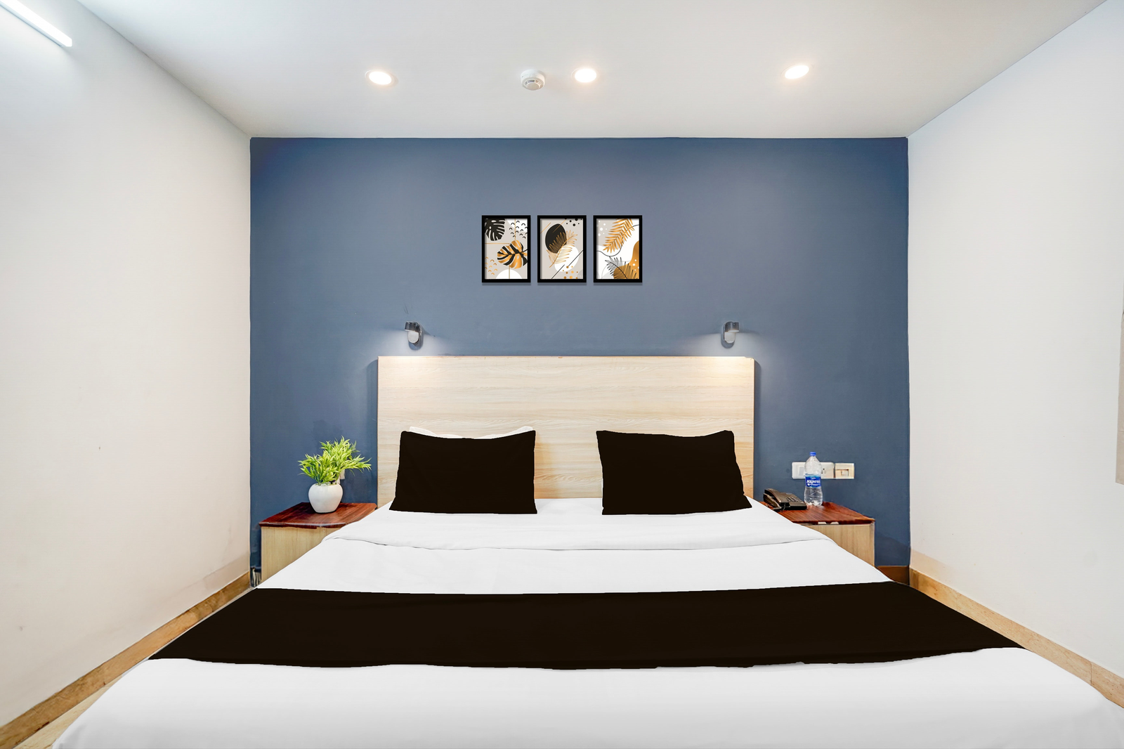 collection o sector 20 noida