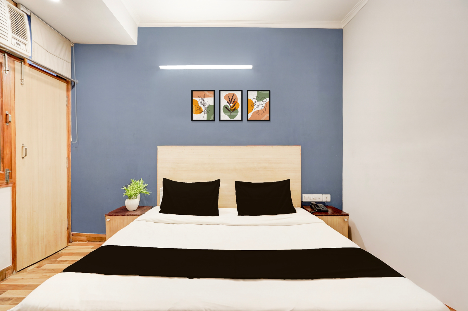 collection o sector 20 noida