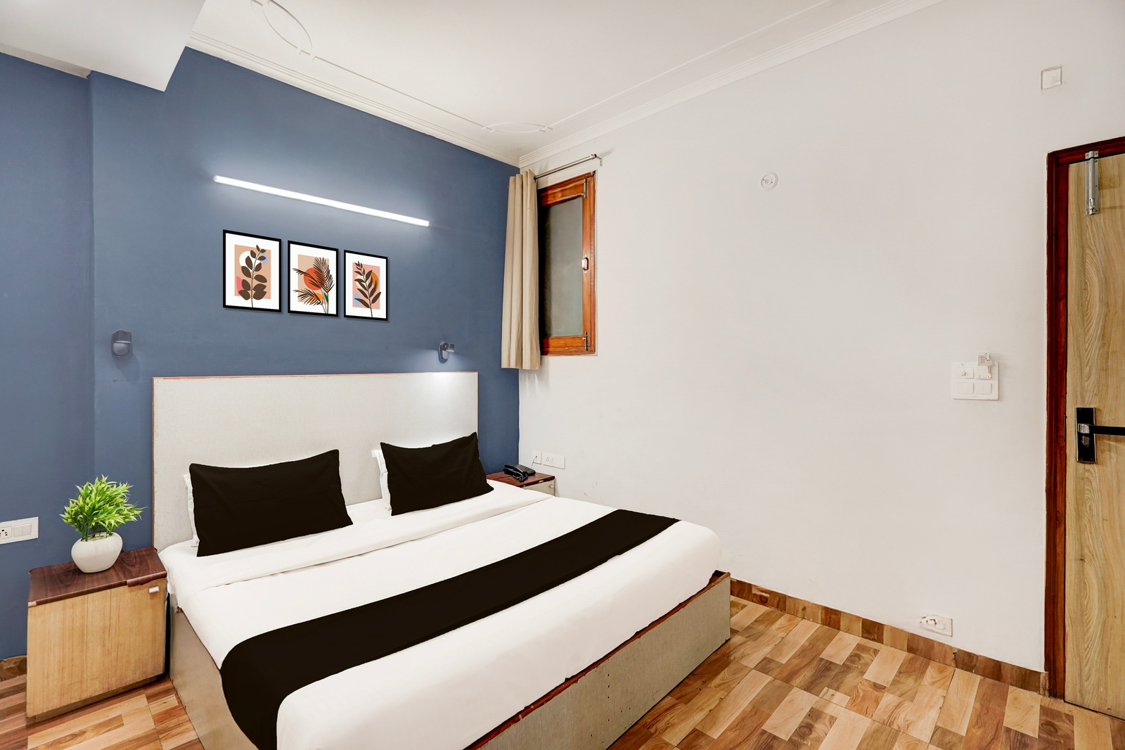 collection o sector 20 noida