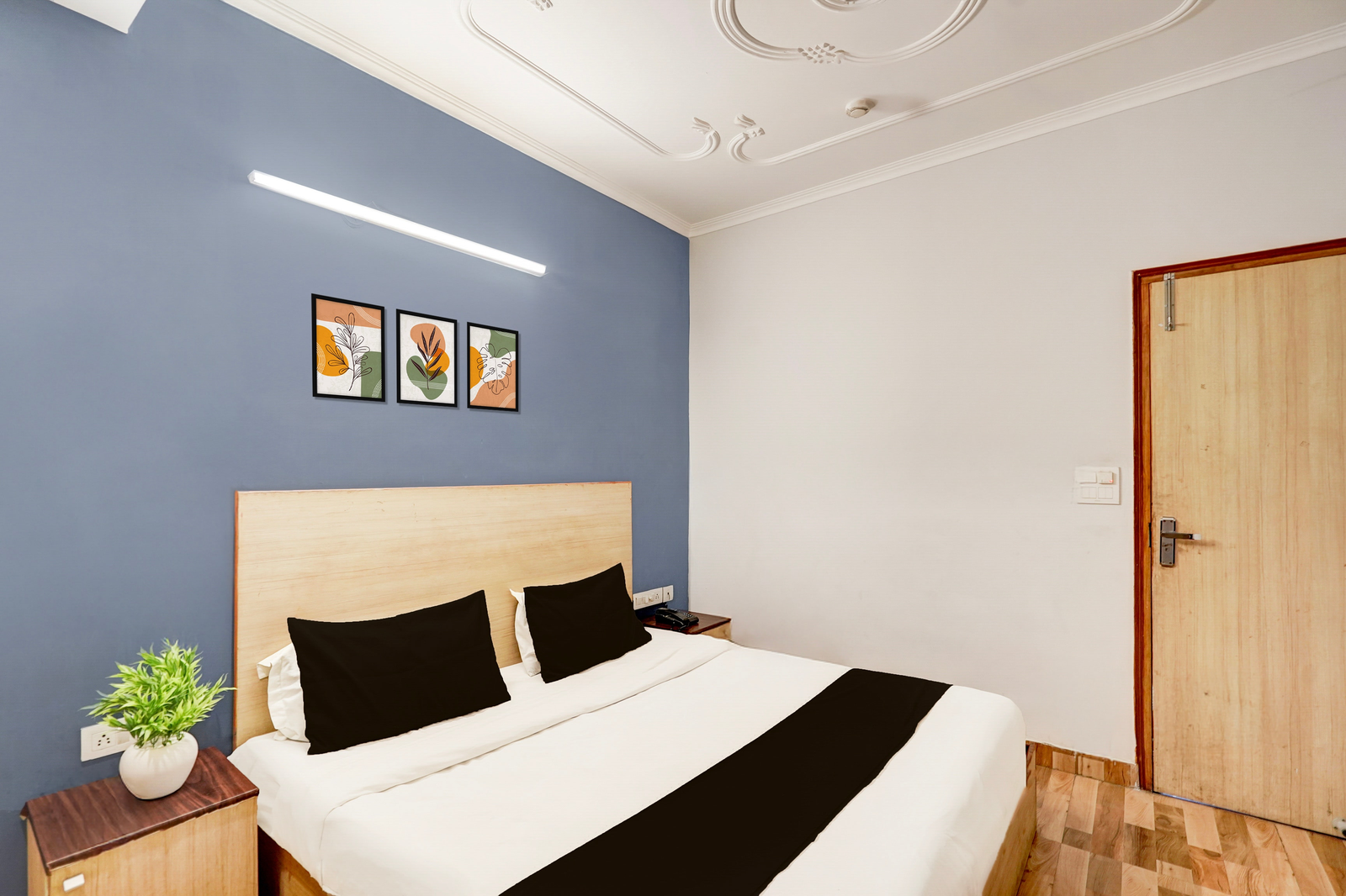 collection o sector 20 noida