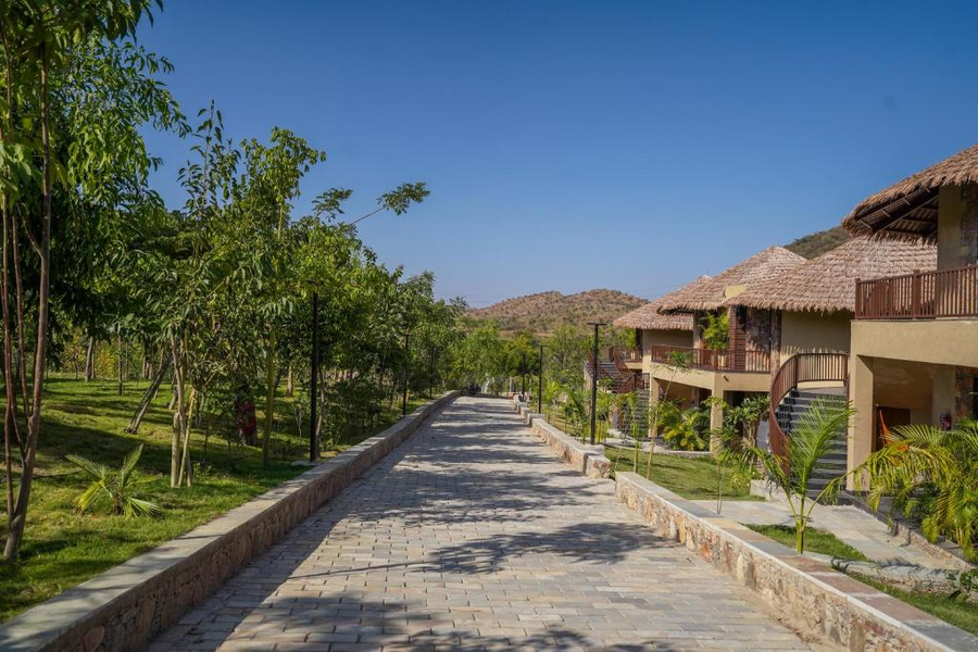 tree of life amara resorts and spa udaipur