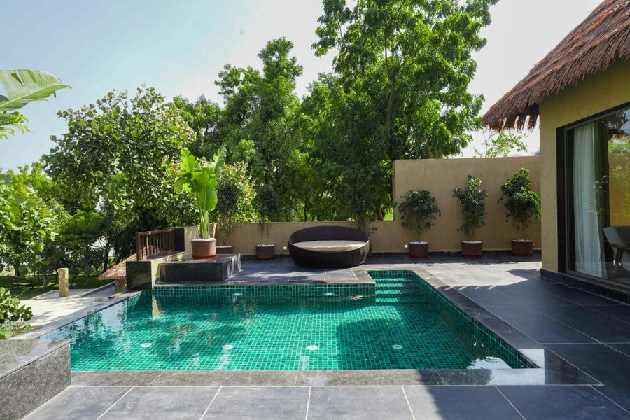 tree of life amara resorts and spa udaipur