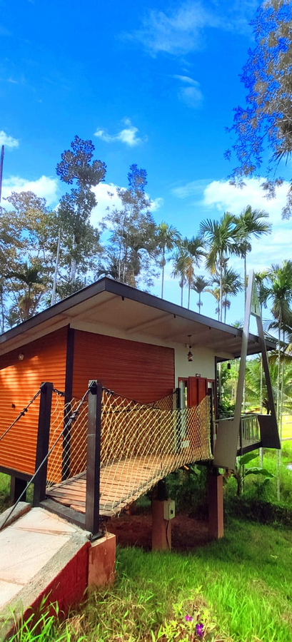 paddy view resort wayanad