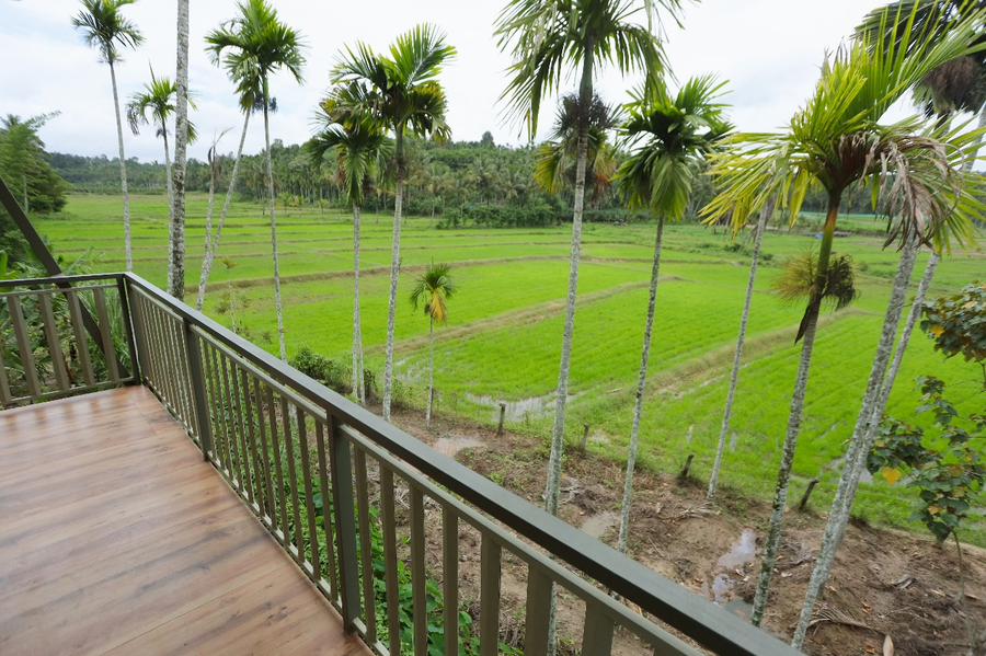 paddy view resort wayanad