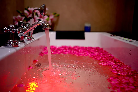 q nest hotel cloud end lansdowne