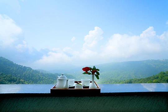 q nest hotel cloud end lansdowne