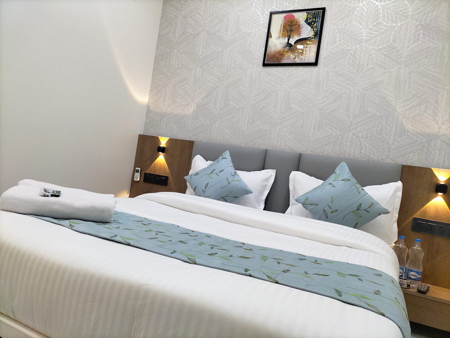 hotel paris plaza