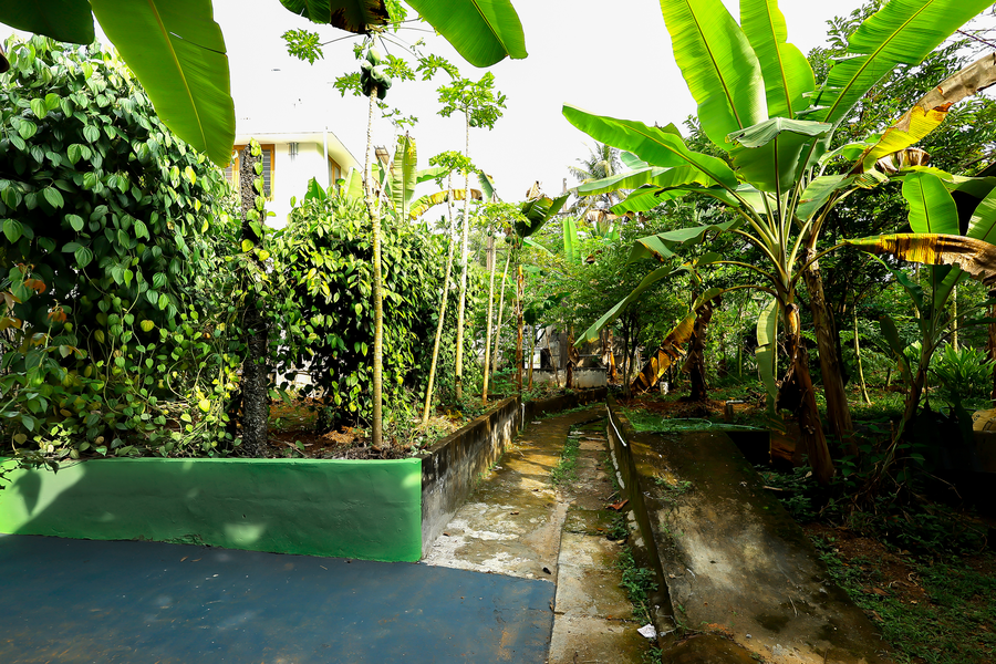 illikkalam lakeside cottages