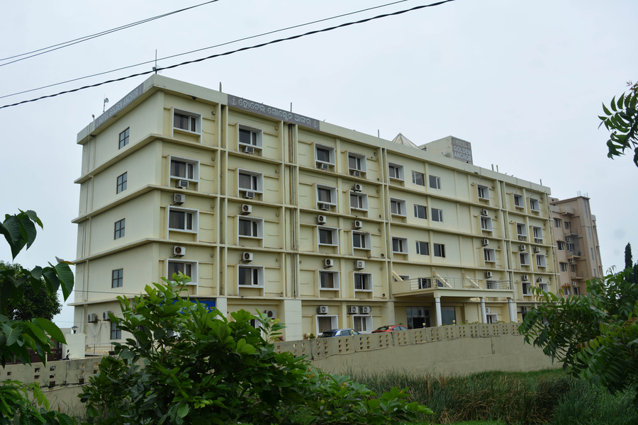 golden anchor dhamra