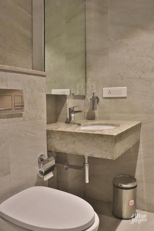 the blue jay hostel dorms and rooms