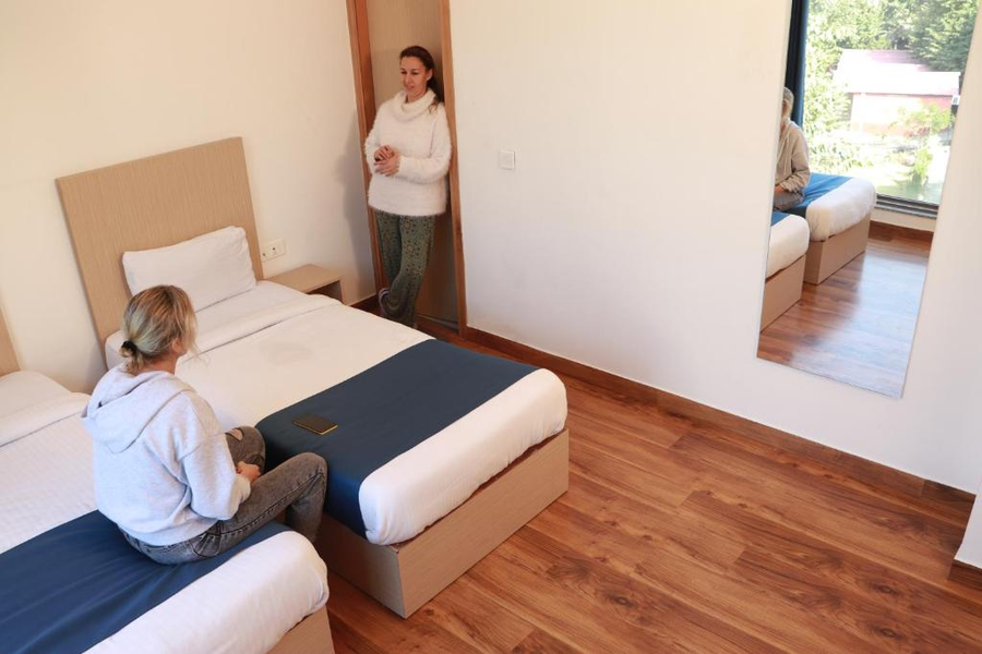 the blue jay hostel dorms and rooms