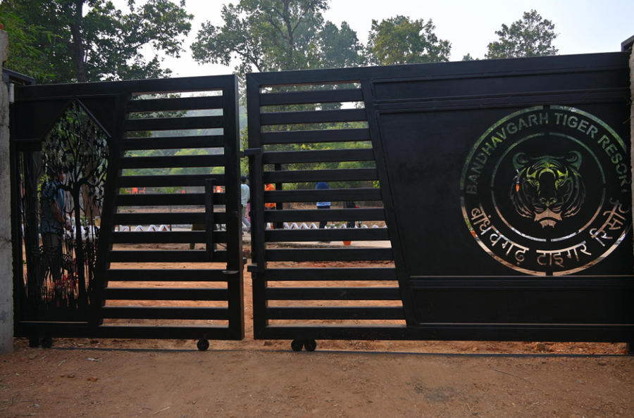 bandhavgarh tiger resort