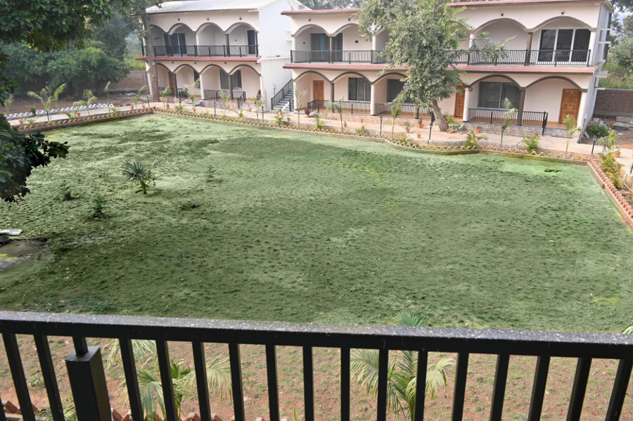 bandhavgarh tiger resort