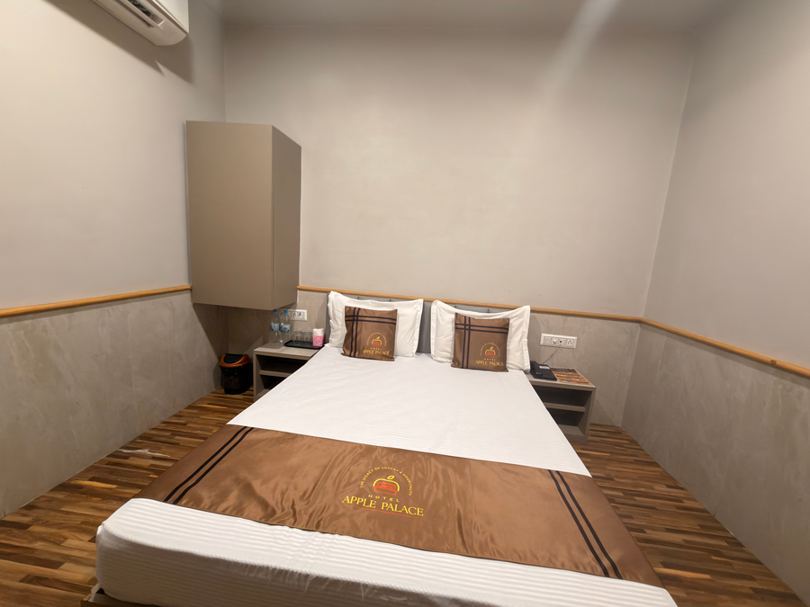 hotel apple palace surat