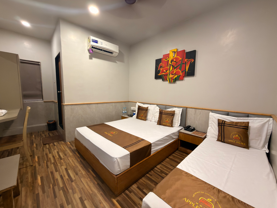 hotel apple palace surat