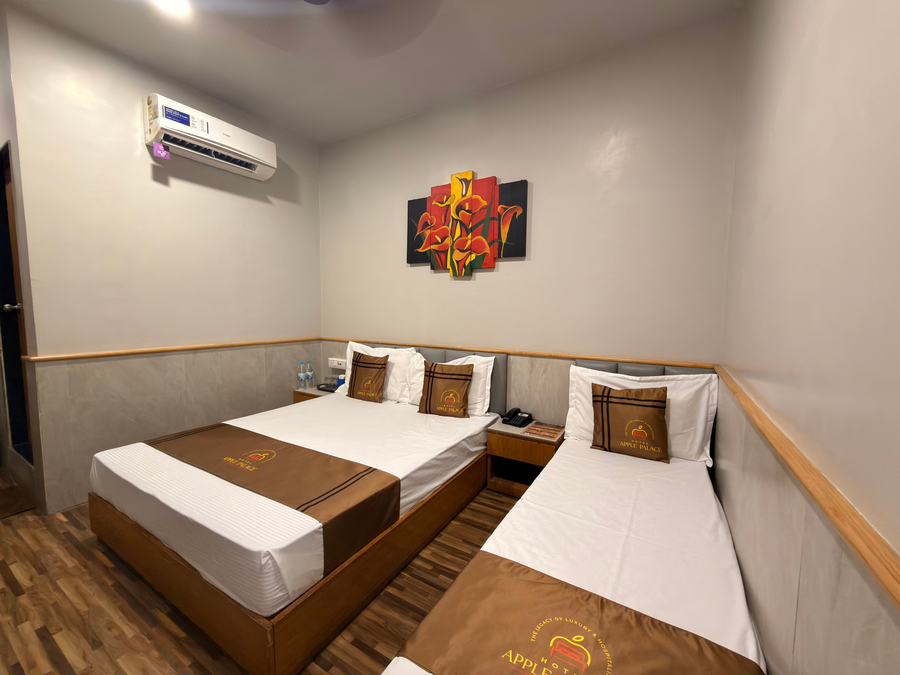 hotel apple palace surat