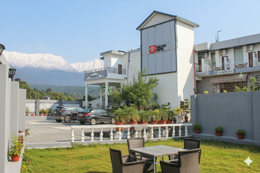 little mastiff dharamshala airport