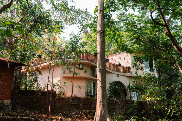 jungle ghar