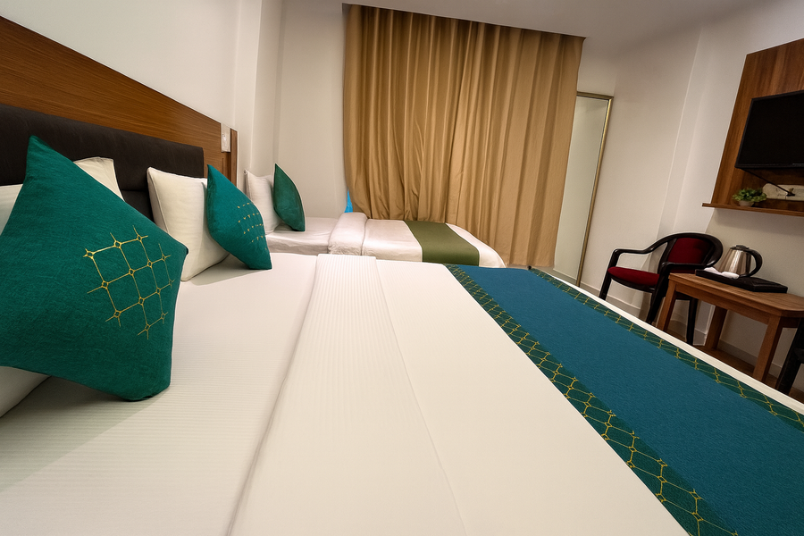 hotel paradise international by jmd group