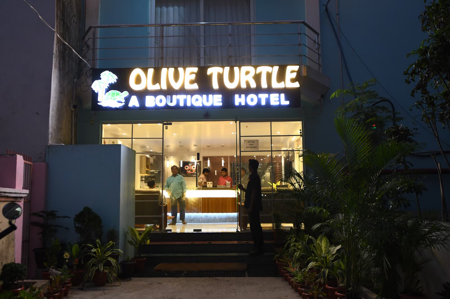 Olive Turtle,Baliapanda,3 star