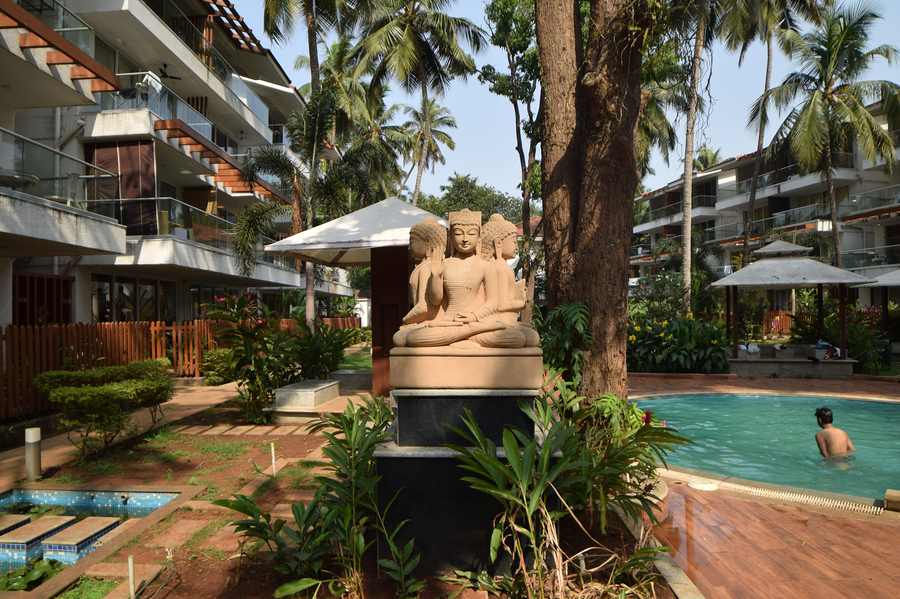 eternal wave by krish retreat