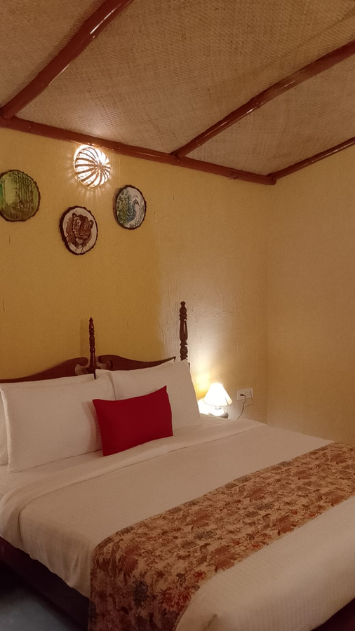 aliste a wildlife experiential resort ranthambore