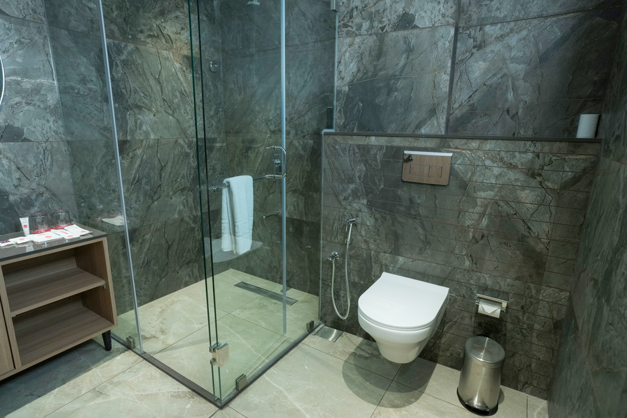 zip by spree hotels dwarka
