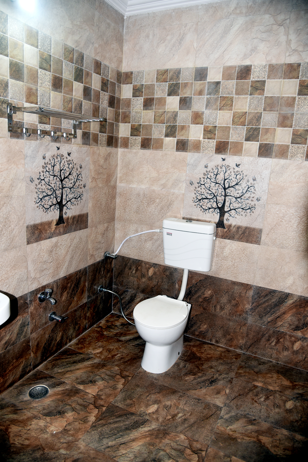 hotel amrapali pachmarhi