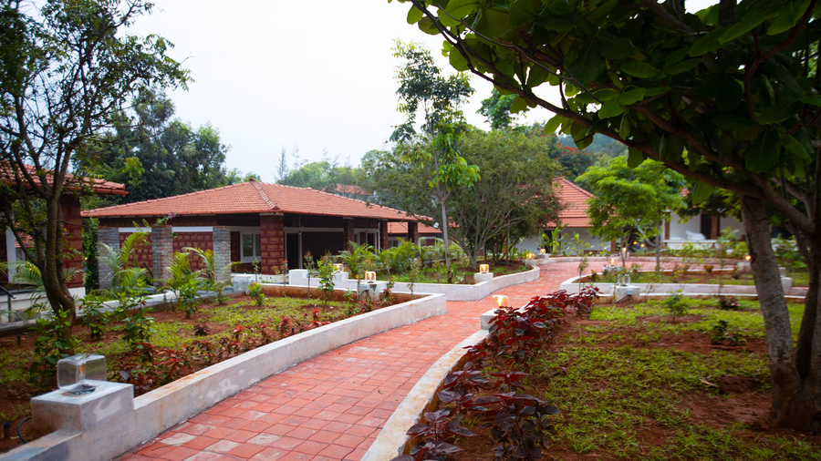 aara jungle resort