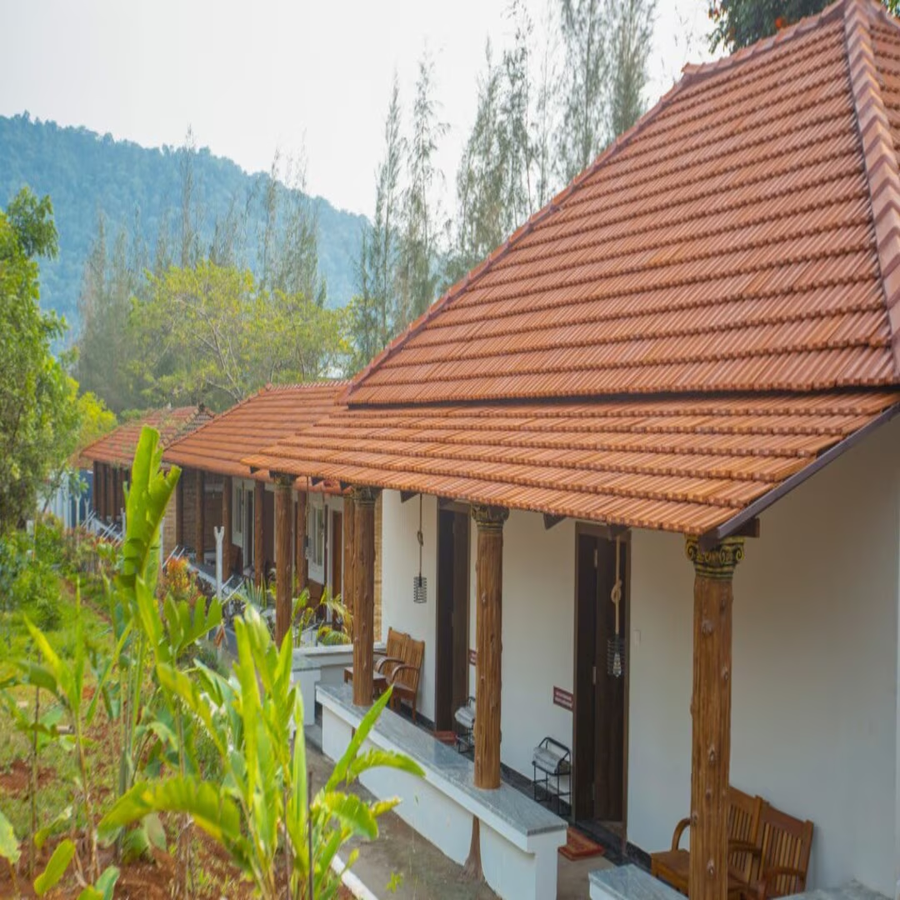 aara jungle resort