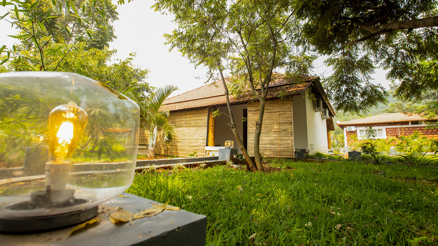 aara jungle resort