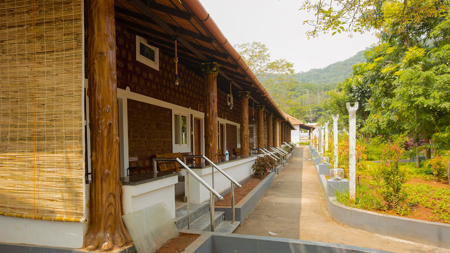 aara jungle resort