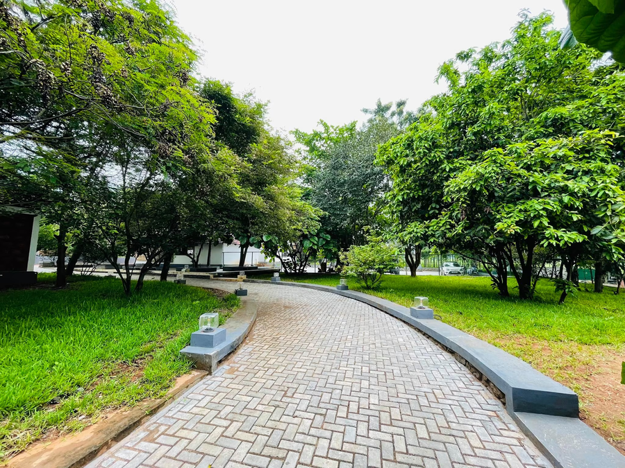 aara jungle resort