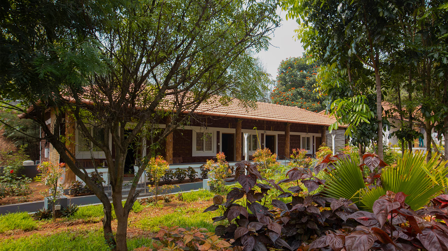 aara jungle resort