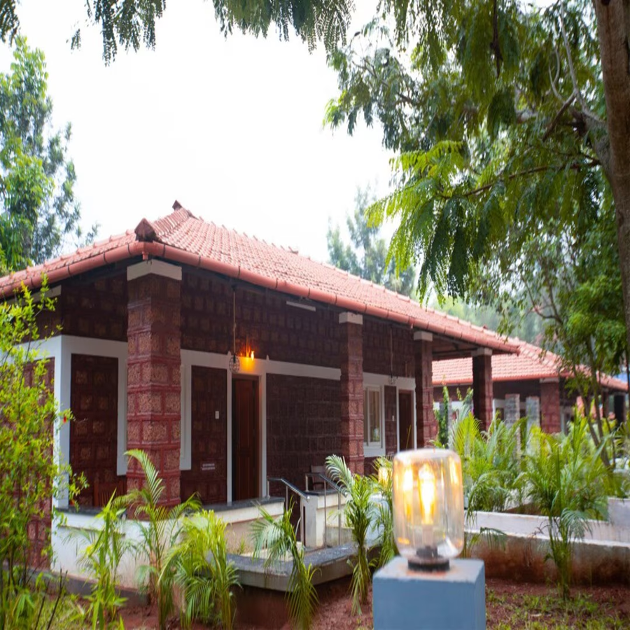 aara jungle resort