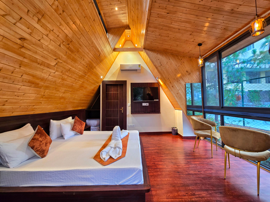 musical paradise kasauli