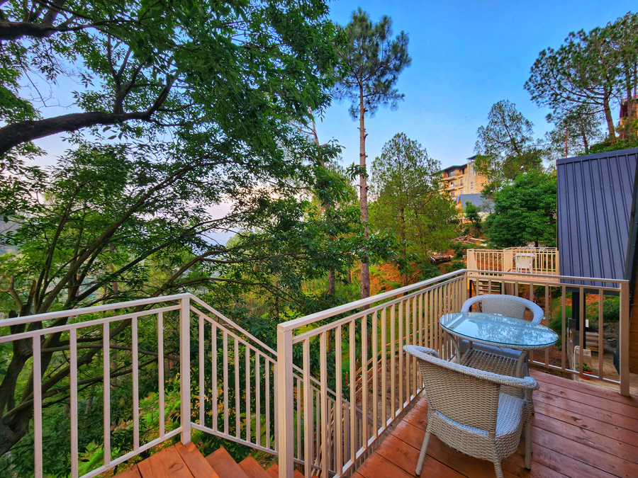 musical paradise kasauli