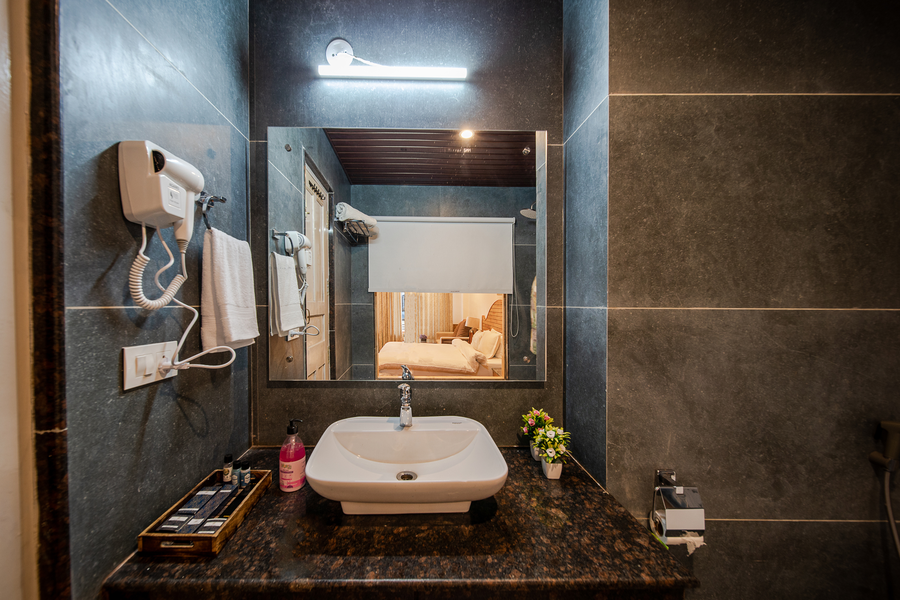 hotel snas retreat manali