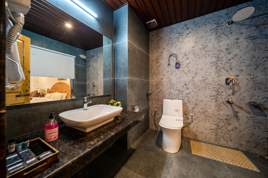 hotel snas retreat manali