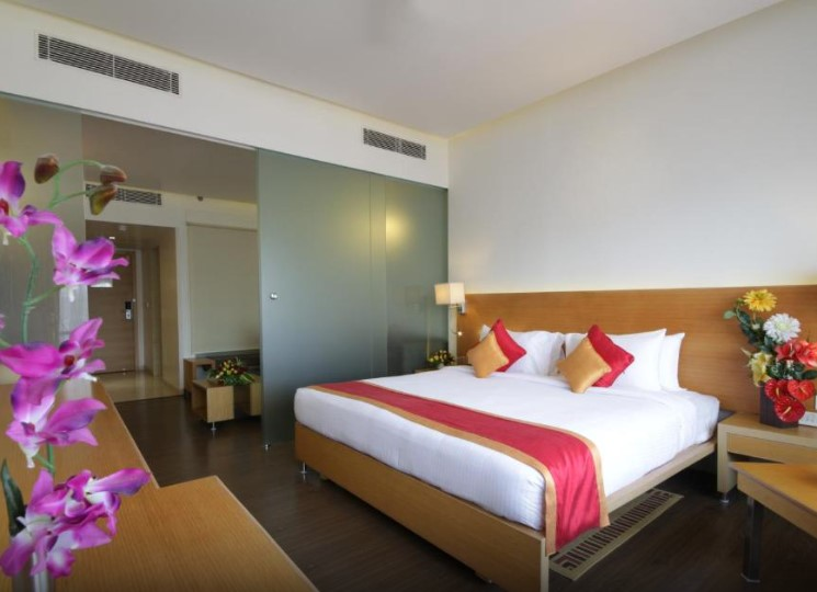 dolphin hotel