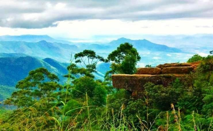 dolphin nose retreat