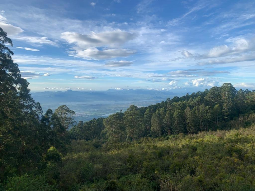 dolphin nose retreat