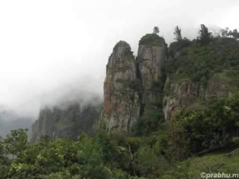 dolphin nose retreat