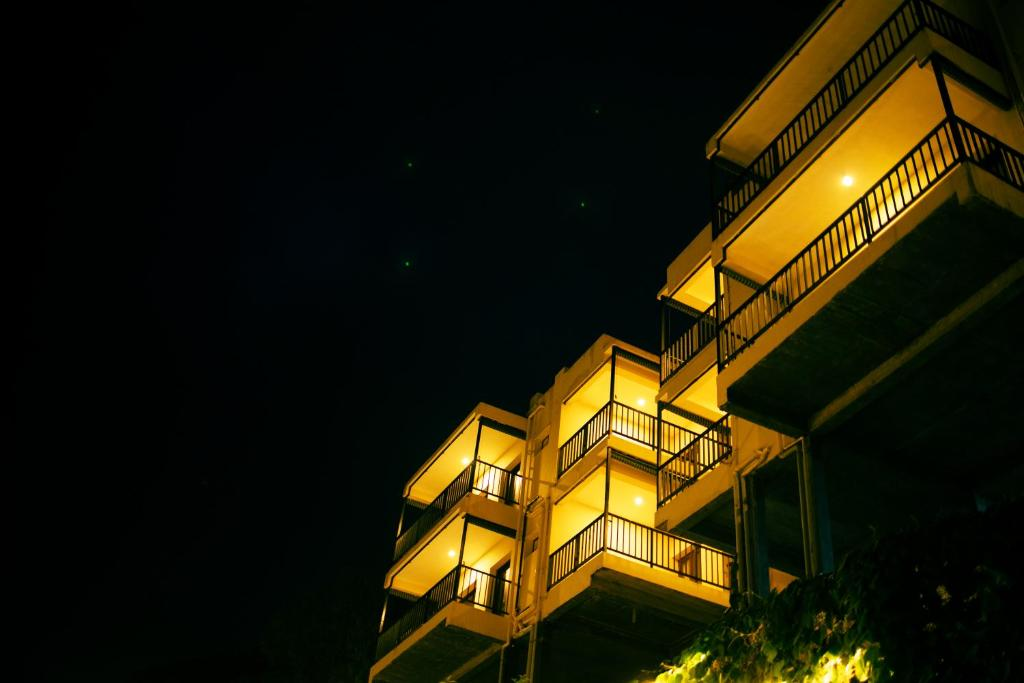 dolphin nose retreat
