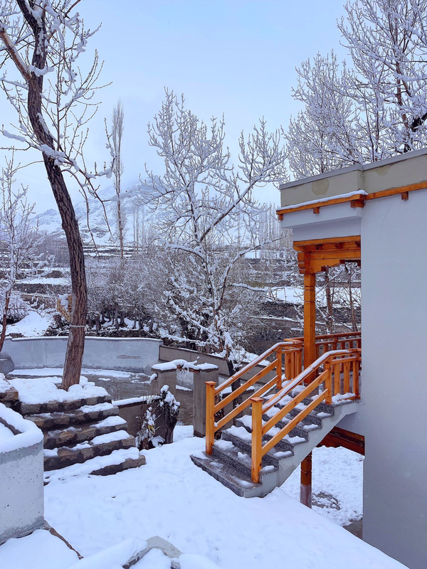 the vintage villas resort ladakh