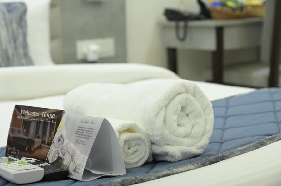 axon business hotel hitec city hyderabad