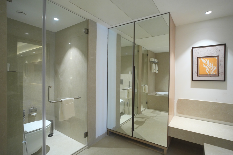 siddharth the fern an ecotel hotel jalna