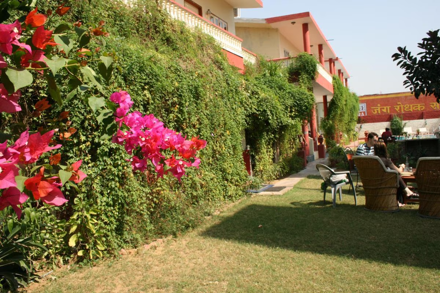 tiger safari resort