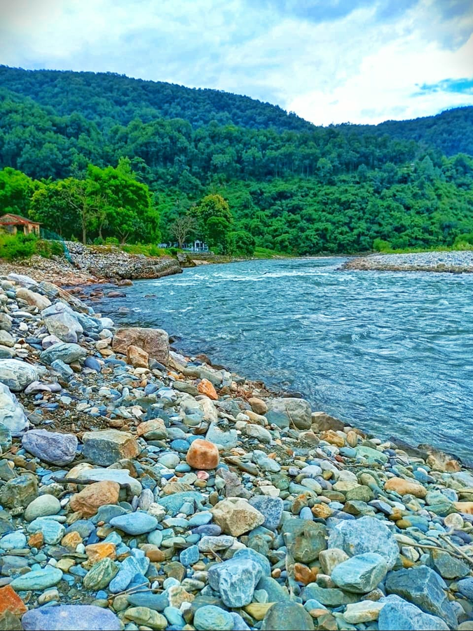 the harikanta corbett resort